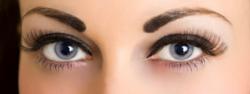 Eyebrow Shaping at Bella Reina Spa
